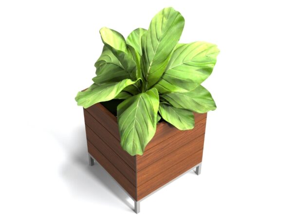 Planter Wooden Planter Teak Wood Planter Long Lasting Planter High Quality Planter Elements Resistant Planter